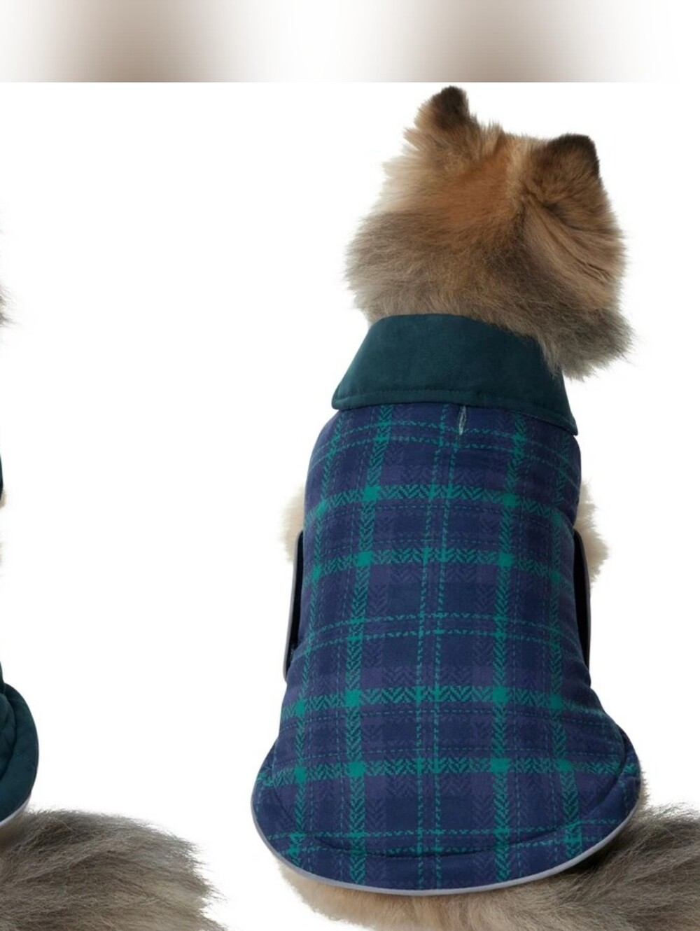 Plaid Dog Coat in Navy & Green - Pet Jacket